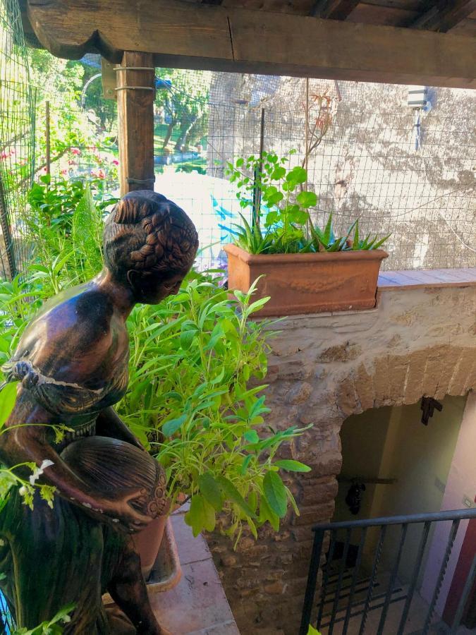 B&B La Fontana Di Pegaso Tivoli Exterior photo